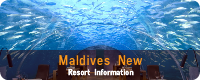 Maldives New